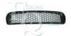BMW 51117900764 Radiator Grille